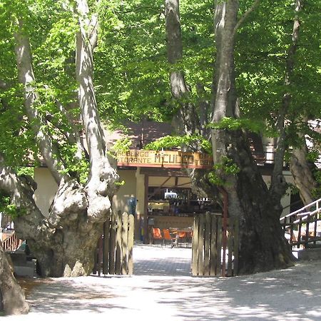 Albergo Ristorante Montecucco Da Tobia Sigillo Εξωτερικό φωτογραφία