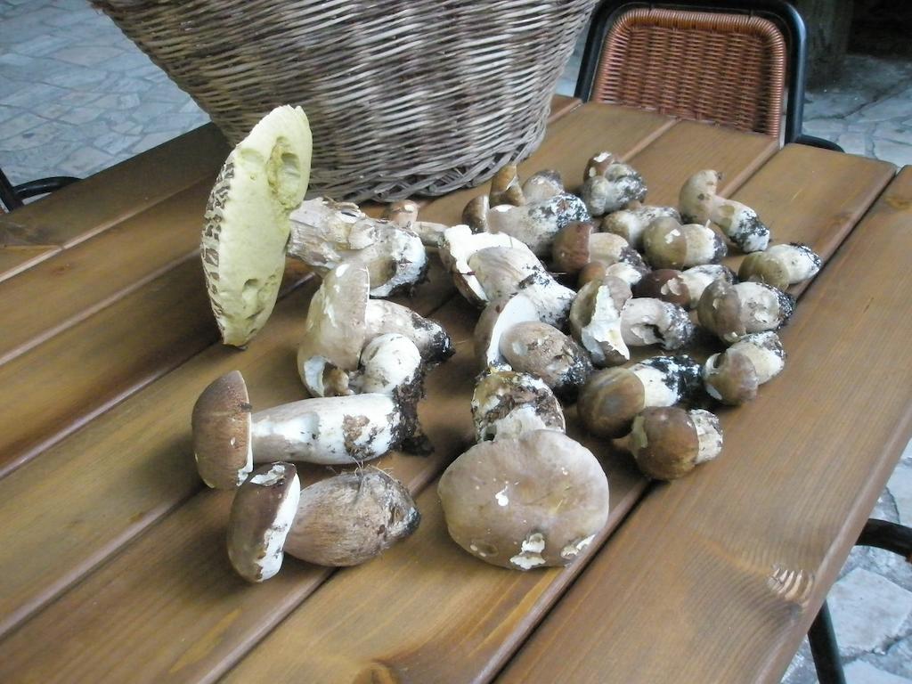 Albergo Ristorante Montecucco Da Tobia Sigillo Εξωτερικό φωτογραφία