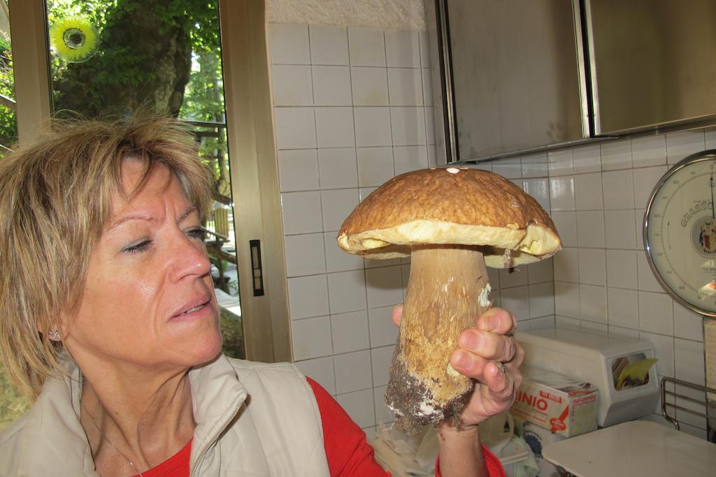 Albergo Ristorante Montecucco Da Tobia Sigillo Εξωτερικό φωτογραφία