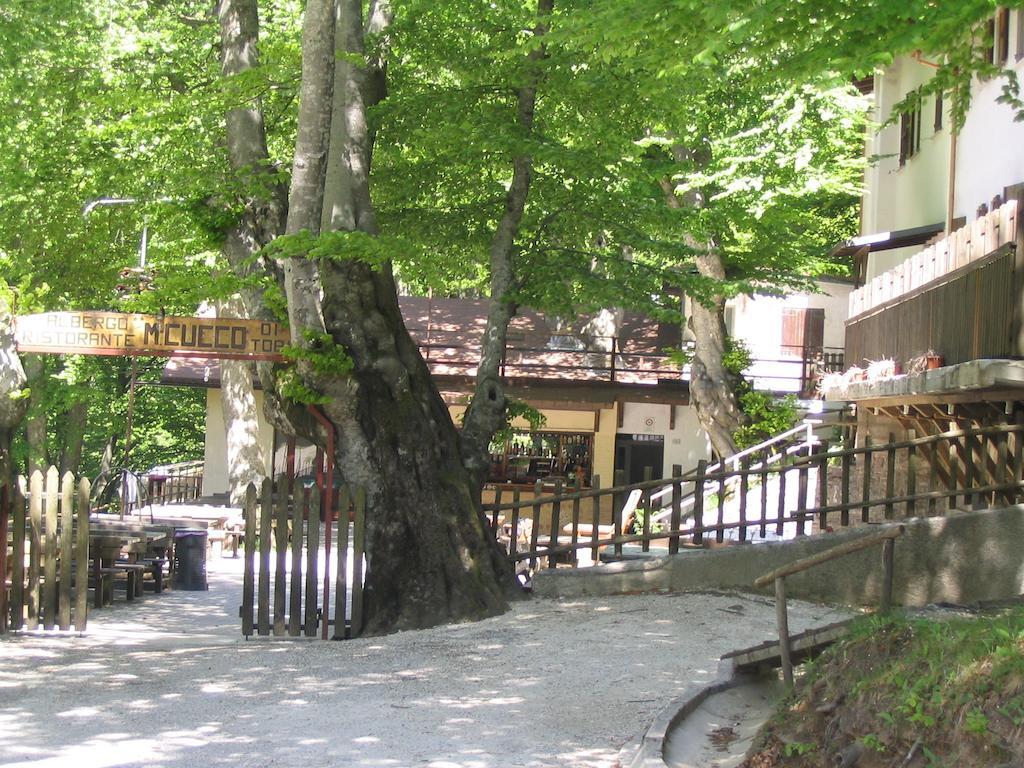 Albergo Ristorante Montecucco Da Tobia Sigillo Εξωτερικό φωτογραφία